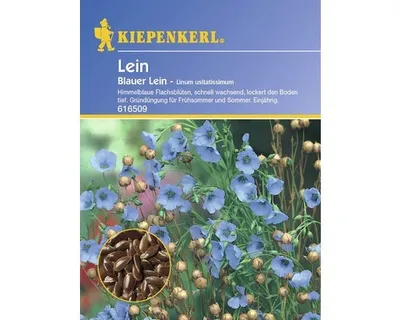 Produktbild von Leinsaat Kiepenkerl 60 g
