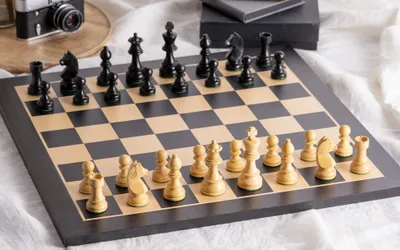Produktbild von Zeitloses Schachspiel mit Ebenholzbrett (48x48cm)