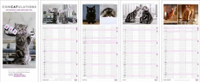 Produktbild von Whiskas Familienplaner 2024