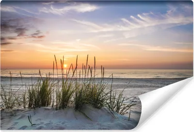 Produktbild von VLIES FOTOTAPETE Meer STRAND Dünen Sonnenuntergang Himmel Pflanzen Natur Landschaft 3D Wanddeko für Wohnzimmer Schlafzimmer Br. 416 cm x Hö. 254 cm