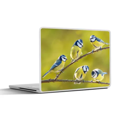 Produktbild von MuchoWow® Laptop Aufkleber Sticker Cover Vogel - Blaumeise - Äste - Sonne 40x30 cm - Laptop Dekoration - Selbstklebend