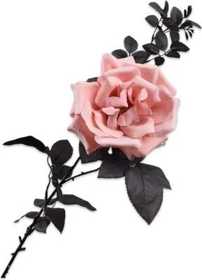 Produktbild von Silk-ka Künstlicher Rosenzweig aus Seide rosa 80 cm