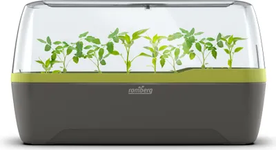 Image de Romberg BoQube L Plus (Pflanzsystem, Farbe Anthrazit-Sommergrün, PAK-frei)