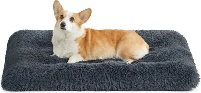 Produktbild von FEANDREA Hundebett, Haustiermatte, weich, 95 x 60 cm, weiche Füllung, maschinenwaschbar, Kissen für Hunde, multifunktional, dunkelgrau