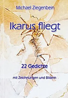Produktbild von Ikarus fliegt