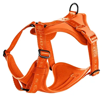 Produktbild von Hundeleine für kleine und mittelgroße Hunde, verstellbar