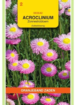 Obrázek produktu pro Oranjeband Acroclineum (Helipterum) Roseum, balení semen