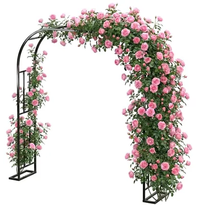 Image de Arche en métal pour rosiers