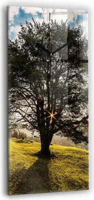 Produktbild von Wallfluent Wanduhr – Stilles Quarzuhrwerk - Uhr Dekoration Wohnzimmer Schlafzimmer Küche - Zifferblatt mit Strichen - schwarze Zeiger - 30x60 cm - Baum auf dem Hügel