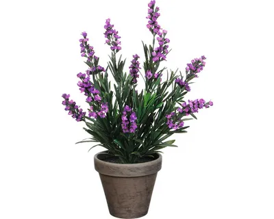 Obrázek produktu pro Umělá rostlina levandule Ø 20 H 33 cm fialová