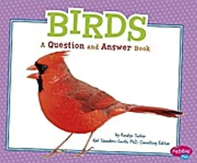 Obrázek produktu pro Birds