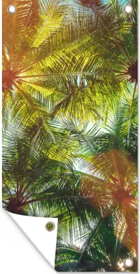 Produktbild von MuchoWow® 40x80 cm Outdoor-Poster Gartendeko Sichtschutz Garten Poster für den Garten  Blätter - Palme - Sonne
