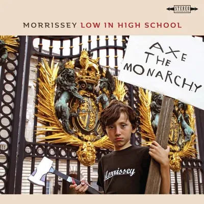 Immagine prodotto di Morrissey-Low al liceo