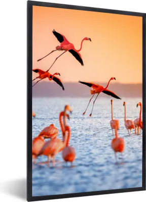 Produktbild von MuchoWow® Gerahmtes Poster Vogel - Flamingo - Wasser - Sonnenuntergang - Rosa 60x90 cm - Poster mit Schwarzem Bilderrahmen Wandposter Rahmen Foto Bilder - Kunst