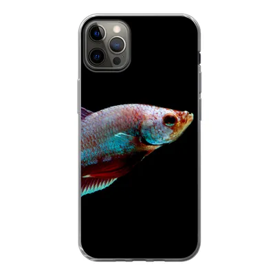 Produktbild von MuchoWow® Handyhülle Schutzhülle Hülle für iPhone 12 Pro Max Fische - Tiere - Licht Silikon Softcase Handy Hülle