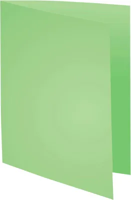 Produktbild von Exacompta 5x 100er Packung FOREVER® 170 mit rotem Rand - Giftgrün - 421004E