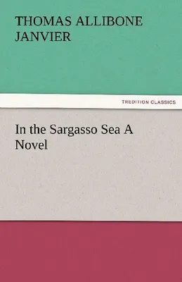 Produktbild von In the Sargasso Sea A Novel