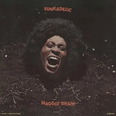 Obrázek produktu pro Funkadelic - Maggot Brain (CD)
