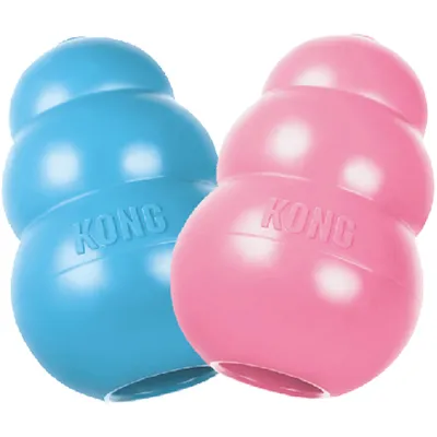 Produktbild von KONG KONG Welpenspielzeug - zufällige Farbe Rosa oder Blau - Gummi - 10 cm - L