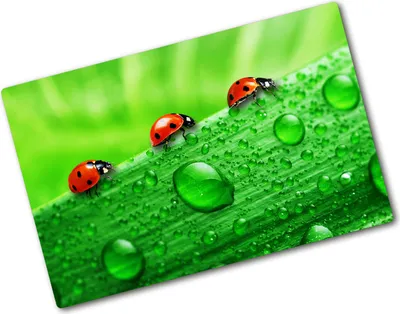Produktbild von Tulup Glas Herdabdeckplatte - 80x52 cm - Glaskeramikkochfeld-Abdeckung Spritzschutz Glasabdeckplatte - Einteilig - Tiere - Marienkäfer Rasen - Grün