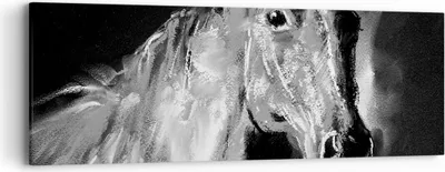 Produktbild von Bild auf Leinwand - Leinwandbild - Pferd Natur Tier - 90x30cm - Wand Bild - Wanddeko - Wandbilder - Leinwanddruck - Bilder - Kunstdruck - Wanddekoration - Leinwand bilder - Wandkunst - AB90x30-3426