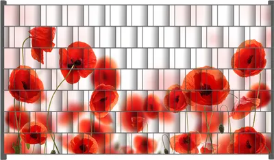 Produktbild von Wallario Zaunsichtschutz mit Motiv Leuchtende Mohnblumen - Rote Mohnblumenblüten für Ein- und Doppelstabmatten Zäune in der Größe 250 x 140 cm