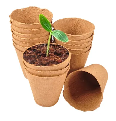 Image de Pots de culture classic floraworld Ø8cm 16 pièces