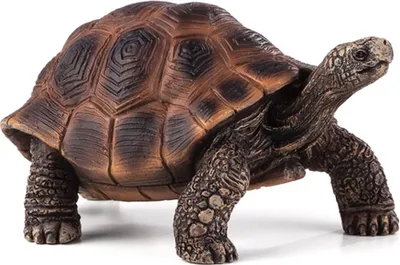 Produktbild von Mojo 387259 Animal Planet Riesenschildkröte ca. 8 x 5 x 3,5 cm