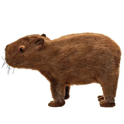 Immagine prodotto di Capibara 33 cm
