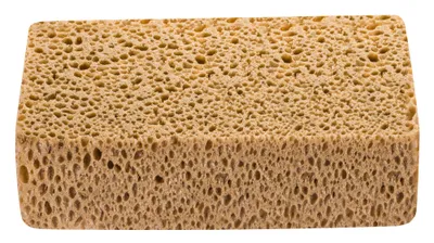 Obrázek produktu pro HARDY houba 15x10x5cm savá