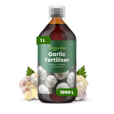 Obrázek produktu pro Cesnak Tekuté Hnojivo 1 L – 2-1-8 NPK – Pro Cesnak – Podporuje Silné Kořeny, Zdravé Listy & Robustný Růst – Organifer