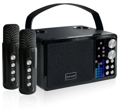 Immagine prodotto di Kit karaoke portatile, nero, con 2 microfoni wireless, altoparlante Bluetooth e batteria con autonomia di 4-6 ore
