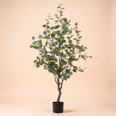Image de Faux eucalyptus de 120cm en pot - plante artificielle réaliste aux feuilles