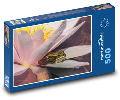 Produktbild von Puzzle 500 Frosch auf Seerose im Teich - martinpuzzle