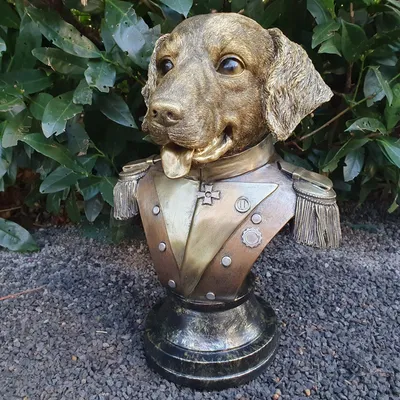 Produktbild von Gartenfigur General Büste Hundefigur 34 cm
