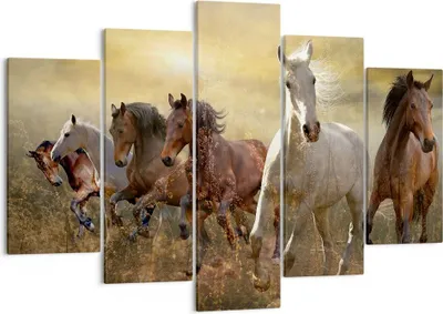 Produktbild von Bild auf Leinwand - Leinwandbild - Pferd Tier Natur - 150x100cm - Wand Bild - Wanddeko - Leinwanddruck - Bilder - Kunstdruck - Wanddekoration - Leinwand bilder - Wandkunst - EA150x100-3640