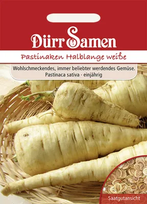 Produktbild von Dürr-Samen - Pastinaken Halblange weiße - Saatgut - 0184
