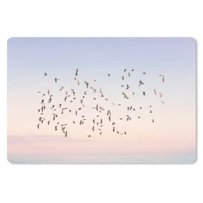 Produktbild von MuchoWow® Schreibtischunterlage Vögel - Meer - Himmel - Natur - Sommer 60x40 cm - XXL Mauspad - Großes Mauspad