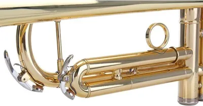 Zdjęcie produktu dla Classic Cantabile TR-30L