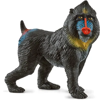 Produktbild von Schleich 14856 - Wild Life, Mandrill, Tierfigur