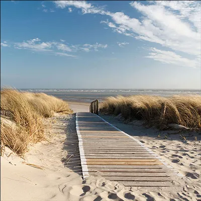 Produktbild von Serviette "Tag am Meer" 20 Stück