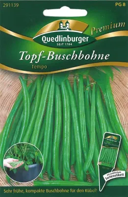 Produktbild von Quedlinburger Saatgut - Topf-Busch-Bohnen Tempo - Samen - 291139