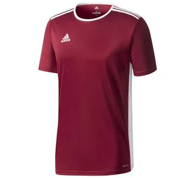 Image de Adidas Entrada 18 Jersey