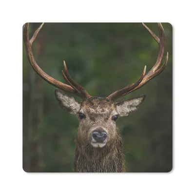 Produktbild von MuchoWow® Mauspad Mousepad Hirsch - Geweih - Natur 20x20 cm - Mousepads - Maus Mat - Pad - Mausunterlage - Desk Mat - Bureauartikeln