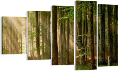 Produktbild von Bild auf Leinwand - Leinwandbild - Wald Baum Natur - 100x60cm - Wand Bild - Wanddeko - Wandbilder - Leinwanddruck - Bilder - Kunstdruck - Wanddekoration - Leinwand bilder - Wandkunst - EG100x60-3628