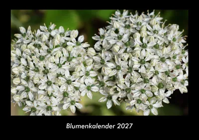 Produktbild von Blumenkalender 2027 Fotokalender DIN A3