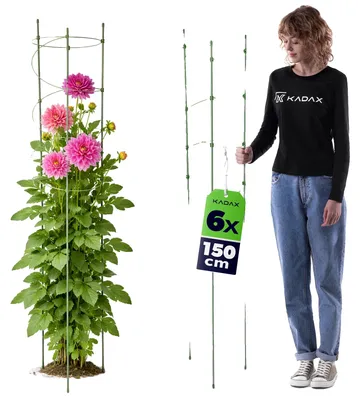Imagen del producto de Soporte para plantas, estructura de metal, 150 cm de altura, color verde claro