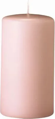 Produktbild von Stumpenkerzen Taupe Rose 200 x 50 mm, 6 Stück