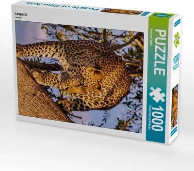 Produktbild von CALVENDO Puzzle Leopard | 1000 Teile Lege-Größe 64x48cm Foto-Puzzle für glückliche Stunden