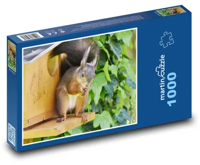 Zdjęcie produktu dla martinpuzzle - Puzzle 1000 - Veverka - hlodavec